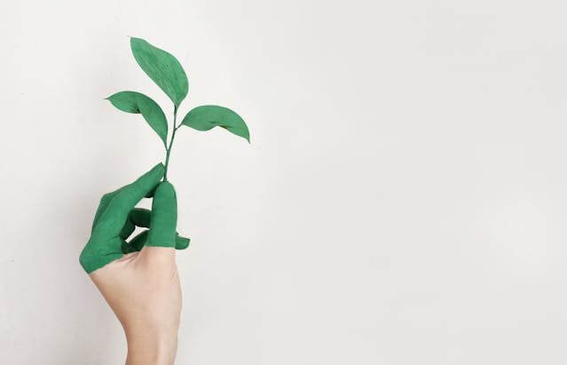 Foto de uma mão segurando uma muda de planta. Os dedos estão pintados de verde como se fosse uma extensão da muda para representar o crescimento pessoal. A foto ilustra o artigo 10 Maneiras de Alcançar o Empoderamento Pessoal Com a Psicanálise escrito pelo psicanalista Homero Mônaco para o site Online Psicanalista.