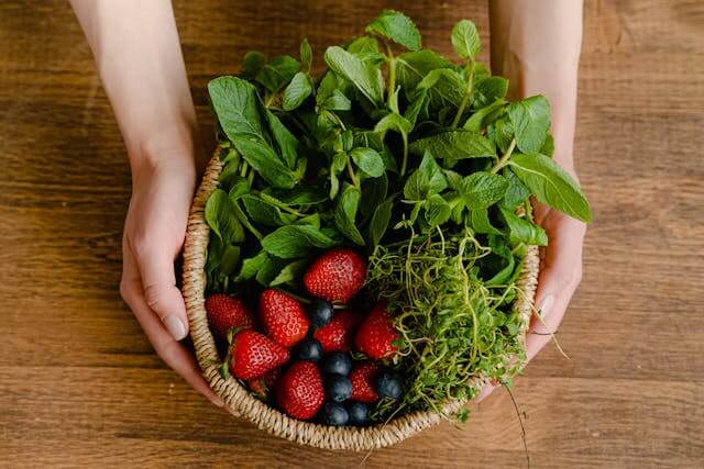 Foto de mãos segurando uma cesta repleta de alimentos saudáveis para manter o seu bem-estar emocional. A foto ilustra o artigo 10 Melhores Práticas para Promover o Bem-Estar Emocional escrito pelo psicanalista Homero Mônaco para o site Online Psicanalista.